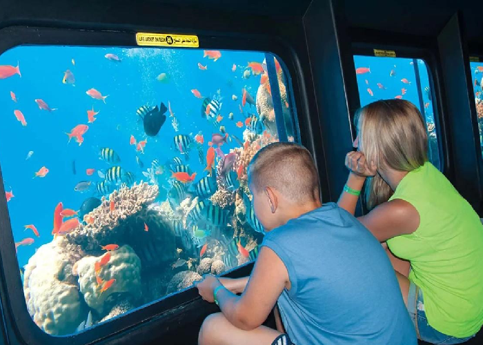Hurghada Semi-Submarine & Glass Bottom Boat Red Sea Tour